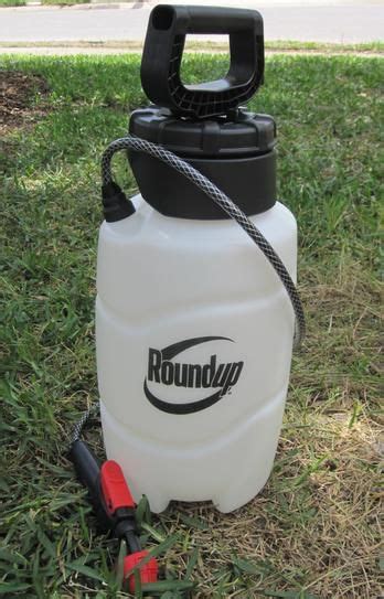 The best approach to ant control in the home is cleanliness. Roundup 2 Gal. All-in-1 Multi Nozzle Sprayer-190459 - The ...