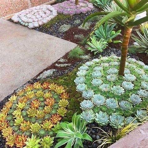 36 Awesome Succulent Front Yard Landscaping Ideas Succulent Garden Landscape Succulent Garden