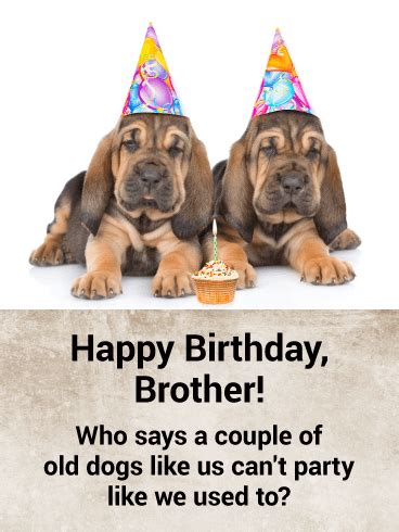 It must be for somebody right in this room. It's Time to Party! Funny Birthday Card for Brother ...