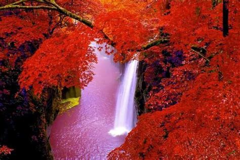 Beautiful World Beautiful Places Waterfall Wallpaper Backgrounds