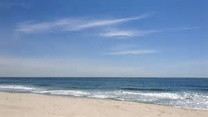 Image result for jersey shore beach