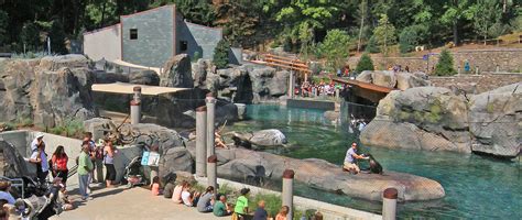 Seal and Sea Lion on American Trail - Washington, DC - Cultural Design
