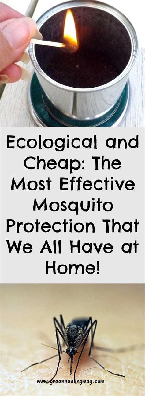 Home pest control offers safe and affordable pest control to south carolina homeowners. Ecological and Cheap: The Most Effective Mosquito ...
