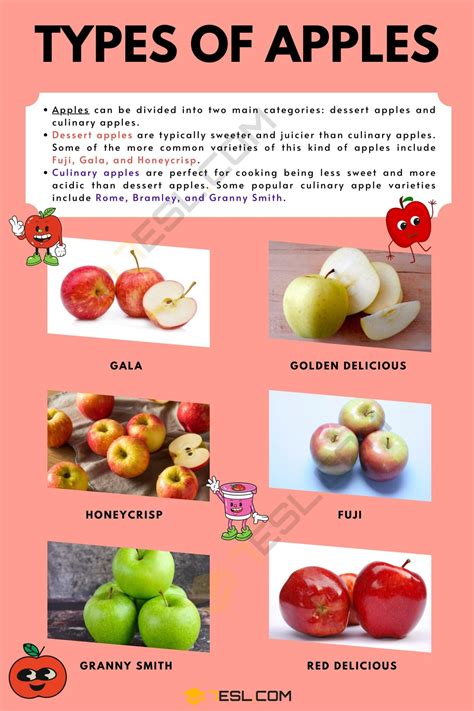 Types Of Apples List