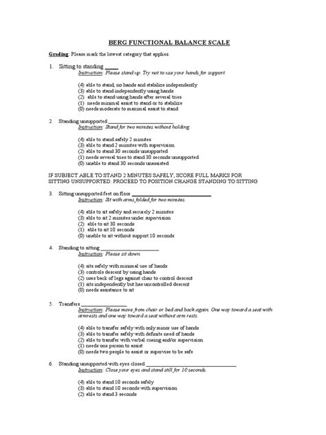 Berg Functional Balance Scale Pdf Foot Chair