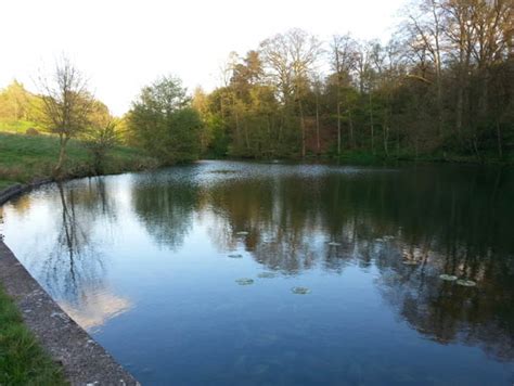 This 2 Acre Oval Shaped Lake Has A Tree Lined Bank On One Side And An