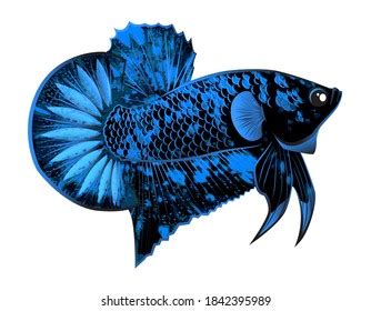 Discover the wonders of the likee. Membuat Logo Mentahan Batik Pixellab - Logo Betta Hd Stock ...