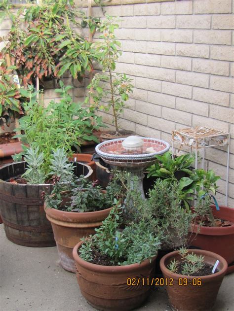 Easy Steps To Design A Container Garden On A Patio Or Balcony