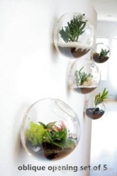 Set Of 5 Bubble Wall Terrariums Indoor Wall Mounted Glass Flower Vase