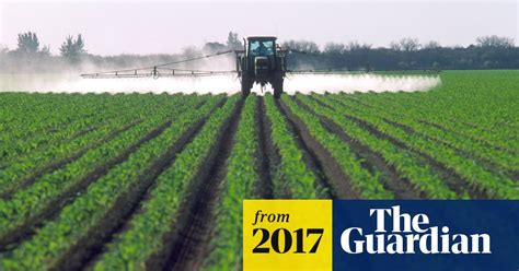 Assumed Safety Of Pesticide Use Is False Says Top Government Scientist