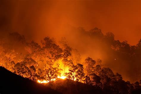 los incendios de australia en números