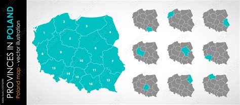 Obraz Wektorowa mapa województw w Polsce KOLOR na wymiar