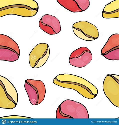 Nuts Seamless Pattern Kola Nut On An Isolated White Background Nuts