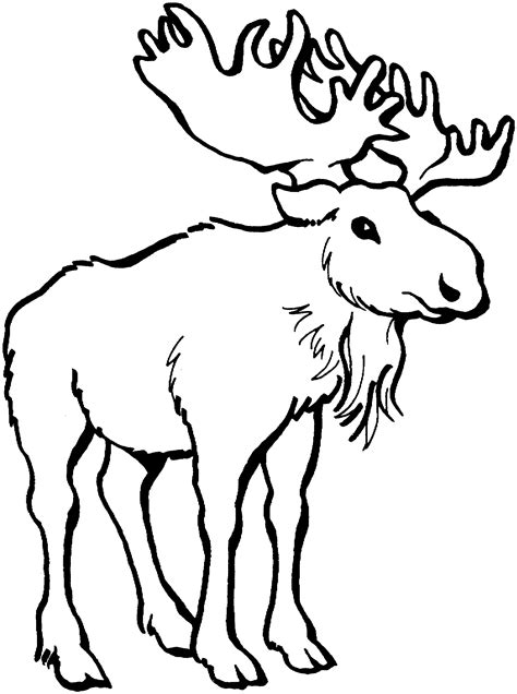 Free Cute Moose Cliparts Download Free Cute Moose Cliparts Png Images