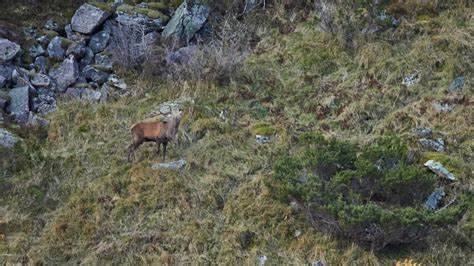 Kvinnherad er en kommune i sunnhordland, vestland fylke. Norrøna kvinnherad hunting-kolleksjon - Norrøna®
