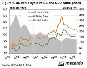 Us Cattle Cycle Outlook Crt