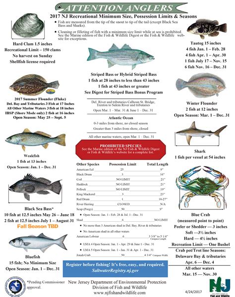 Maybe you would like to learn more about one of these? NJ Saltwater Fisherman - Your #1 Source For Fishing In NJ