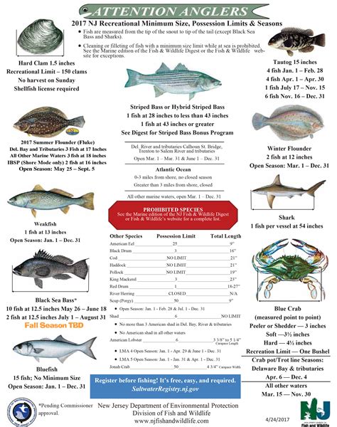 Maybe you would like to learn more about one of these? NJ Saltwater Fisherman - Your #1 Source For Fishing In NJ