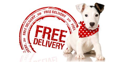 $25,000 is the total cost to raise and train a service dog including acquiring, training, placing, providing support, vet bills, food, supplies, and other miscellaneous expenses. Dog Bandana Delivery & Returns | Puppy Bandana Delivery