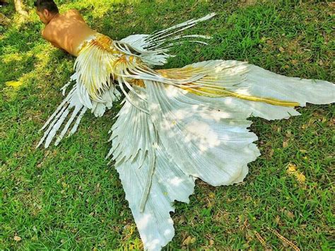 White And Gold Merman Tail Realistic Mermaid Silicone Mermaid Tails