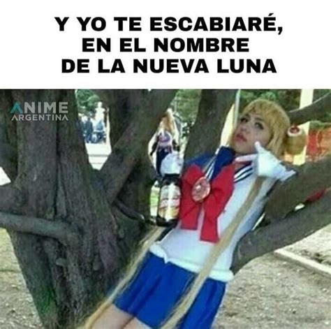 Memes Anime Argentina 01