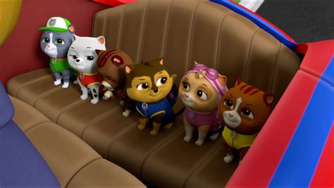 Cat Skyegallerypups Save Aces Birthday Surprise Paw Patrol Wiki