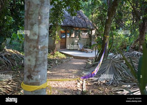 Ian Andersons Caves Branch Jungle Lodge Stock Photo Alamy