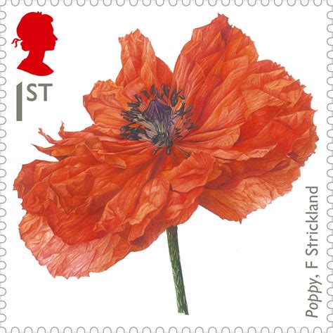 Specific restrictions and changes may be enforced at short notice, so for clarification please contact the destination country's trade, postal, and customs authorities as appropriate. Painting of a poppy by botanical artist Fiona Strickland ...