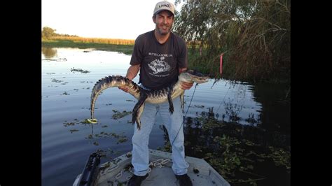 Alligator Hunting In Louisiana Youtube