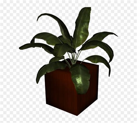 When designing a new logo you can be inspired by the visual logos found here. Bunga Pot Png - Houseplant, Transparent Png - 926x720 ...