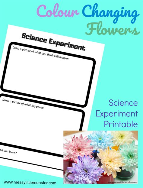 I just love this color changing flowers science experiment! Colour Changing Flowers Science Experiment - A fun science ...