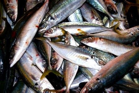 Bahan bahan ikan kukus ikan selayang garam asam keping hirisan bawang merah cili padi #ikankukus #ikanselayangkukus. Karutan Ibu QaisarQaisara: Ikan Plastic Surgery