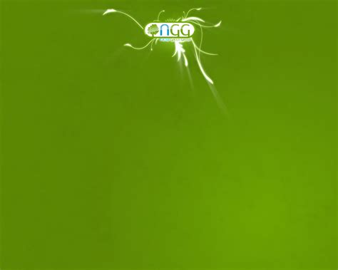 Free Download Go Green Wallpaper Go Green Desktop Background 1024x819