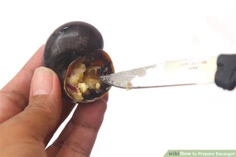How To Prepare Escargot 15 Steps With Pictures Wikihow