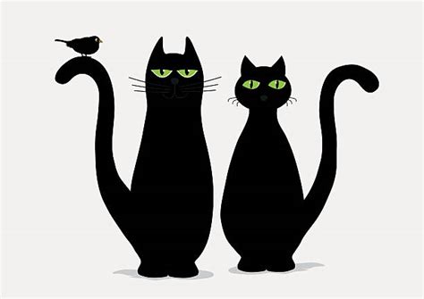 Cute Black Cats Drawings Illustrations Royalty Free Vector Graphics