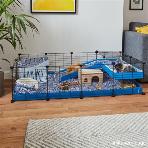 4x2 C And C Cage For Guinea Pigs With Loft Ramp Kavee Candc Cages Usa