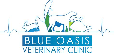 BOVC LOGO 2023 | BOVC