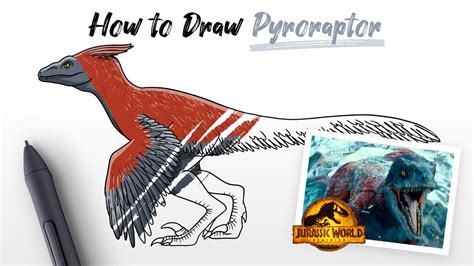 How To Draw Pyroraptor Dinosaur From Jurassic World Dominion Movie Easy Step By Step Youtube