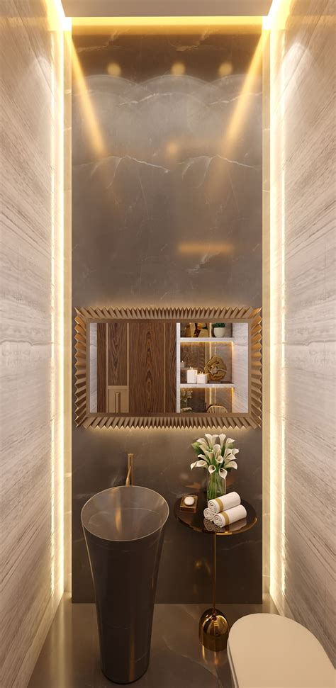 Puddles, steam, a dropped makeup brush, or toothpaste spatter. Luxury toilet design in palace on Behance | Luxury toilet ...