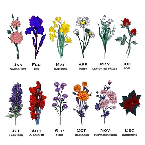 Birth Flowers By Month Images Image To U