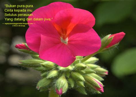 Music sepi seorang perindu 100% free! Warkah Sepi Seorang Perindu
