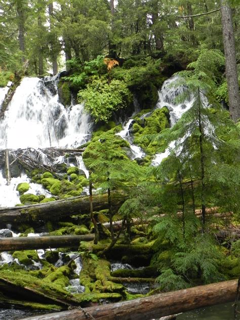 Clearwater Falls Umpqua River Scenic Byway Oregon 美しい風景写真 美しい風景 風景写真