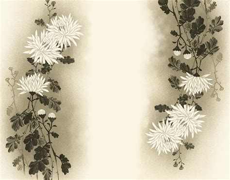 White Flowers For Powerpoint Ppt Backgrounds Templates