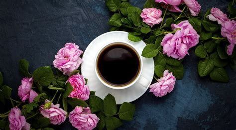 April is not the cruelest month in amongst the fields of desert blooming spring flowers leading to st. Wallpaper : cup, flowers, plants, coffee 1919x1059 ...