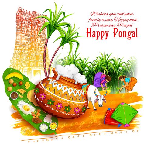 Happy Pongal Best Wishes Images Messages And Greetings To Share My