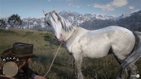 Red Dead Redemption 2 All Horses