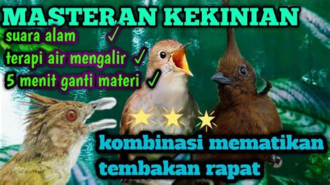 Kombinasi Masteran Kasar Lengkap Mematikan Kombinasimasteran Masteran