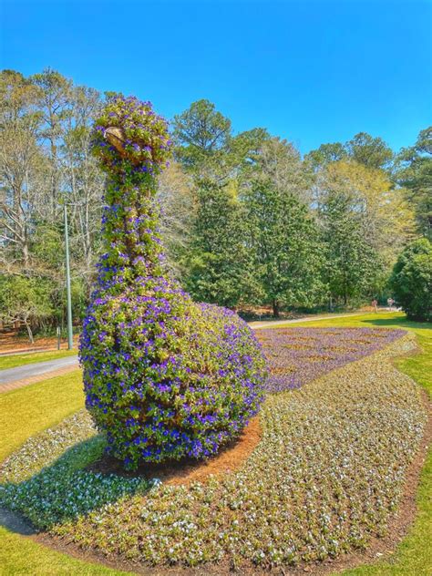 One Million Reasons To Visit Callaway Gardens During The Spring