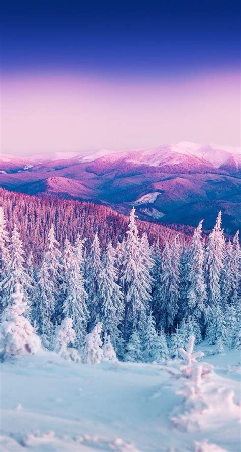 Pink Snow Landscape Wallpaper Iphone Wallpaper Winter Winter Wallpaper