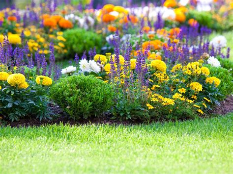 How To Start A Small Flower Garden In Your Backyard Garden Likes